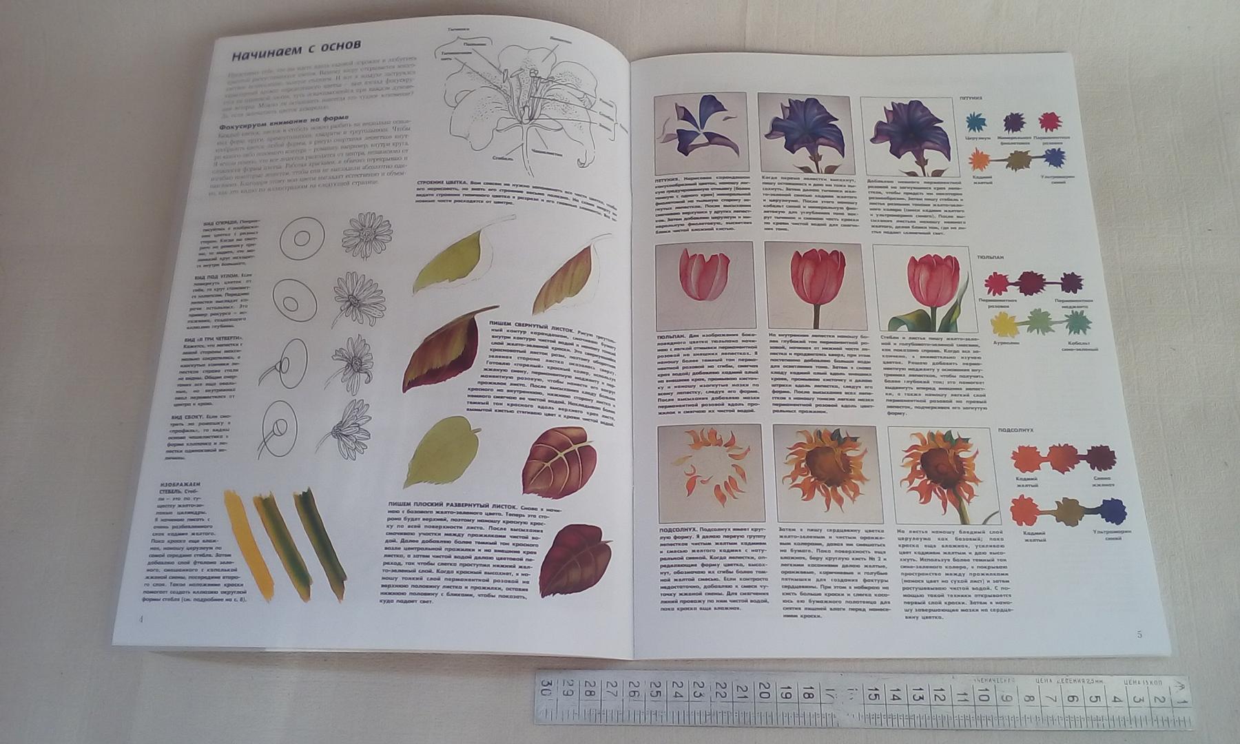 Иллюстрация 9 из 26 для Цветы в акварели - Джоан Хансен | Лабиринт - книги. Источник: Тигрочка