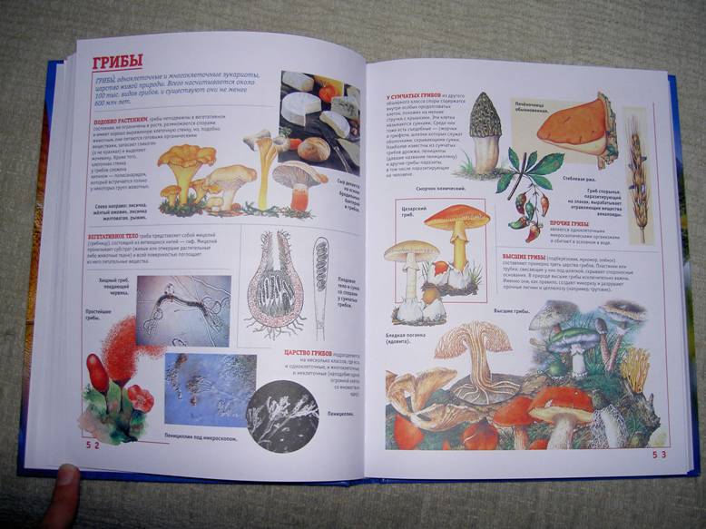 Иллюстрация 7 из 8 для Самая иллюстрированная энциклопедия для мальчиков | Лабиринт - книги. Источник: Байбулатов  Ильдар