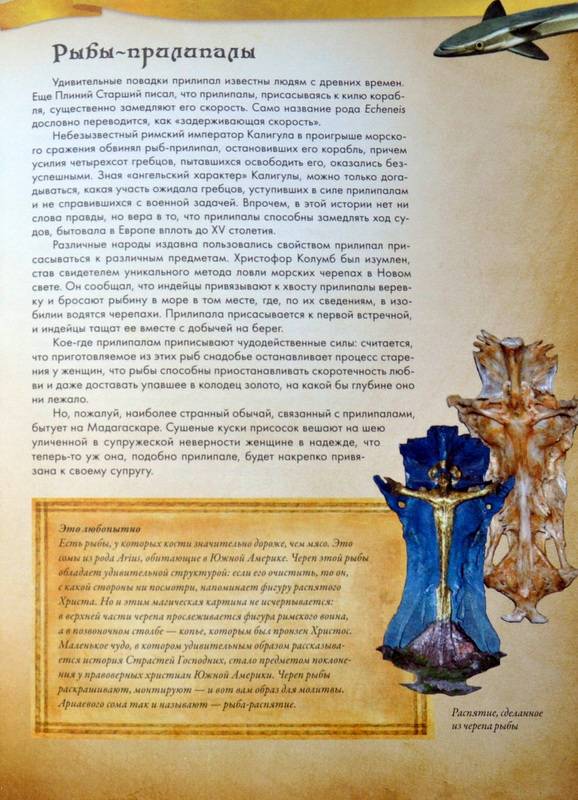 Иллюстрация 19 из 31 для Животные в мифологии - Андрей Гапченко | Лабиринт - книги. Источник: Ассоль