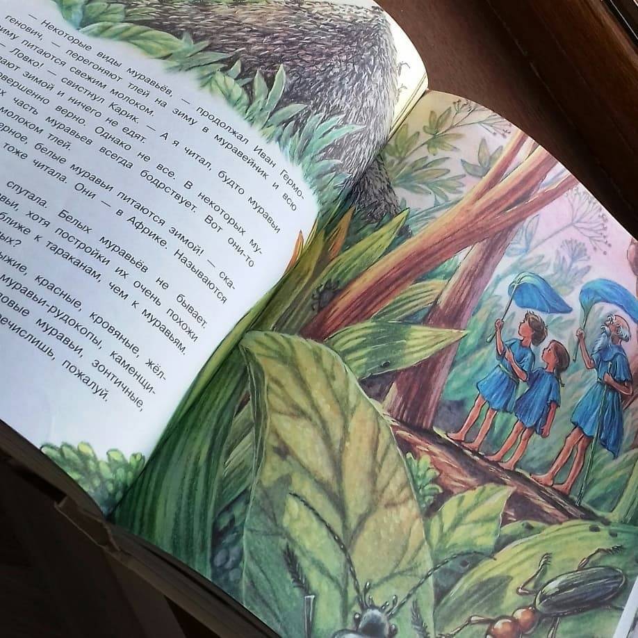 Иллюстрация 38 из 95 для Необыкновенные приключения Карика и Вали - Ян Ларри | Лабиринт - книги. Источник: @bumazhniy_gorod