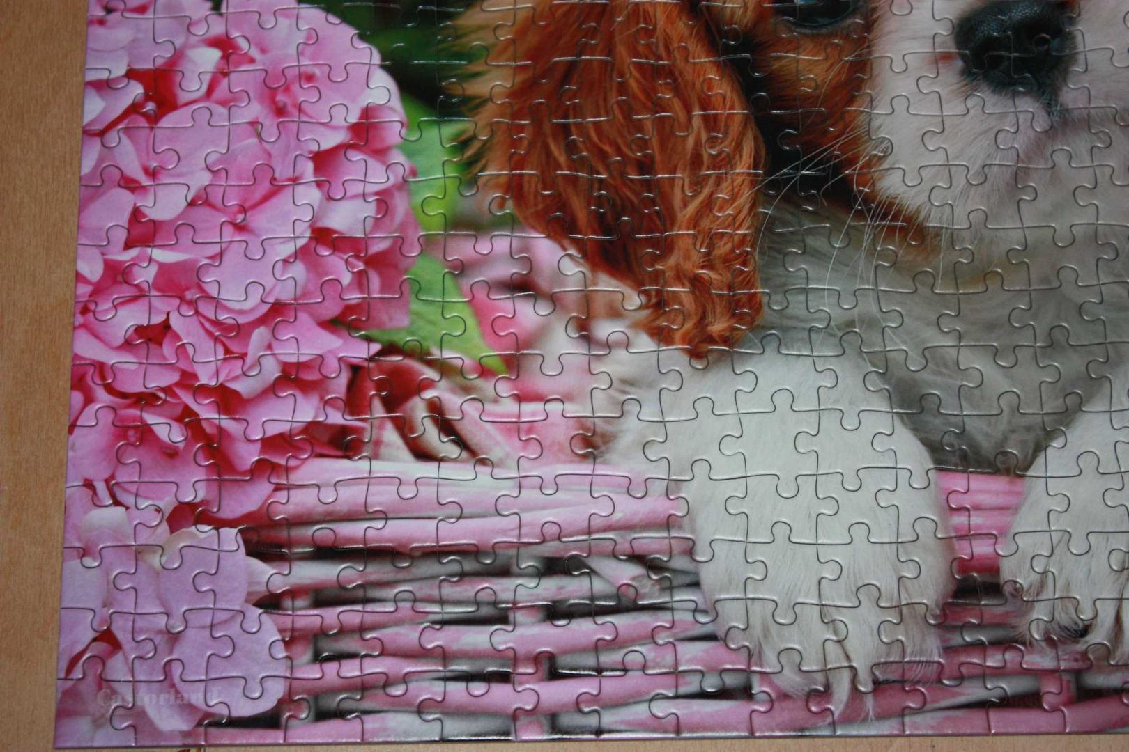 Иллюстрация 7 из 11 для Puzzle-500 "Щенок в цветах" (B-52233) | Лабиринт - игрушки. Источник: Михайлова Алексия