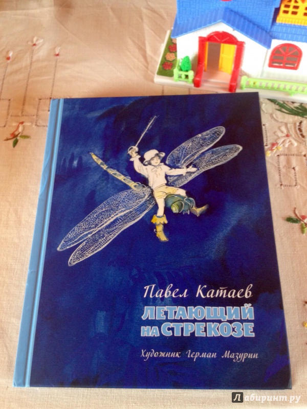 Иллюстрация 14 из 43 для Летающий на стрекозе - Павел Катаев | Лабиринт - книги. Источник: Псевдоним