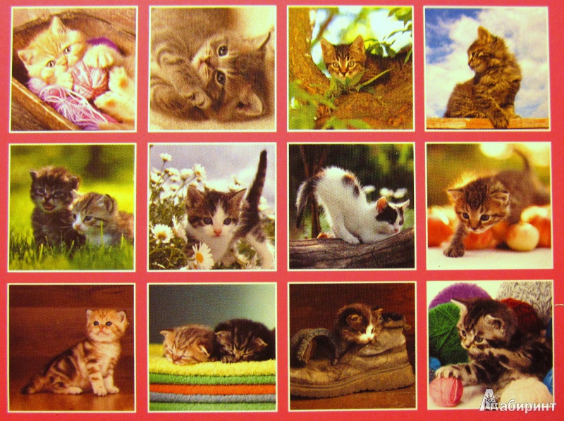 Иллюстрация 2 из 2 для Календарь-домик 2014 "Котята" | Лабиринт - сувениры. Источник: Viktory  Ko