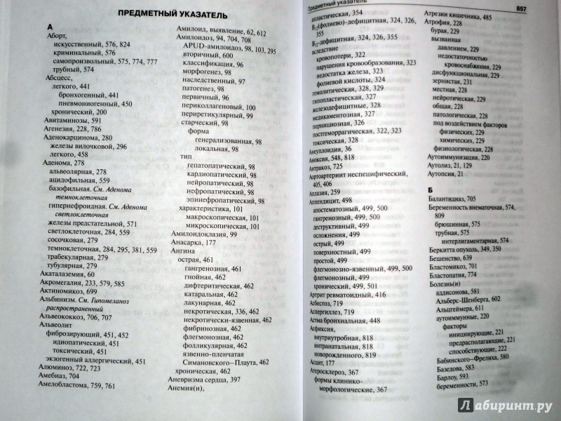 Иллюстрация 15 из 37 для Патологическая анатомия. Учебник - Струков, Серов | Лабиринт - книги. Источник: Лабиринт
