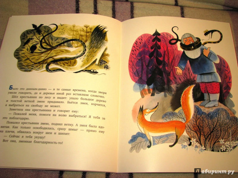 Иллюстрация 46 из 75 для Волчья песня - Борис Заходер | Лабиринт - книги. Источник: Бог в помощь