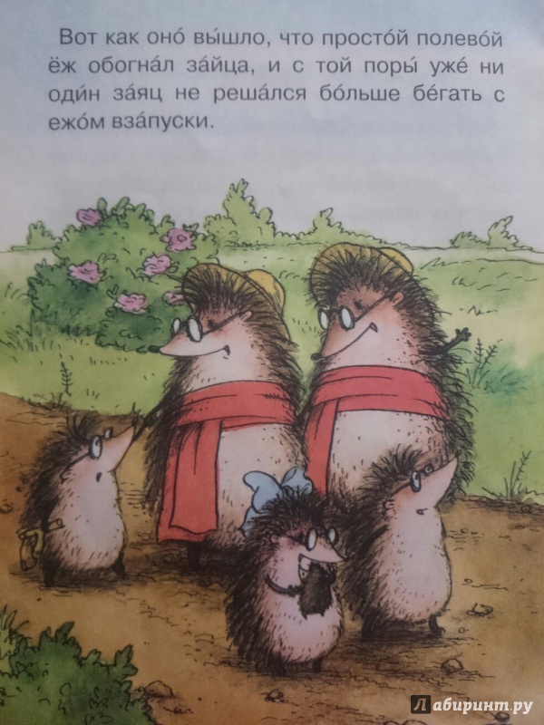 Иллюстрация 5 из 8 для Заяц и еж - Гримм Якоб и Вильгельм | Лабиринт - книги. Источник: RainbowMama