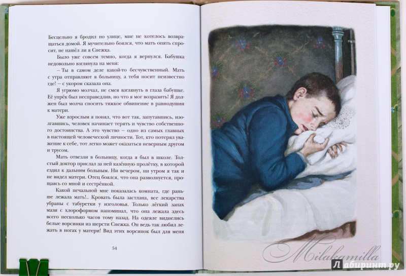 Иллюстрация 90 из 113 для Удивительный заклад - Екатерина Боронина | Лабиринт - книги. Источник: Букландия