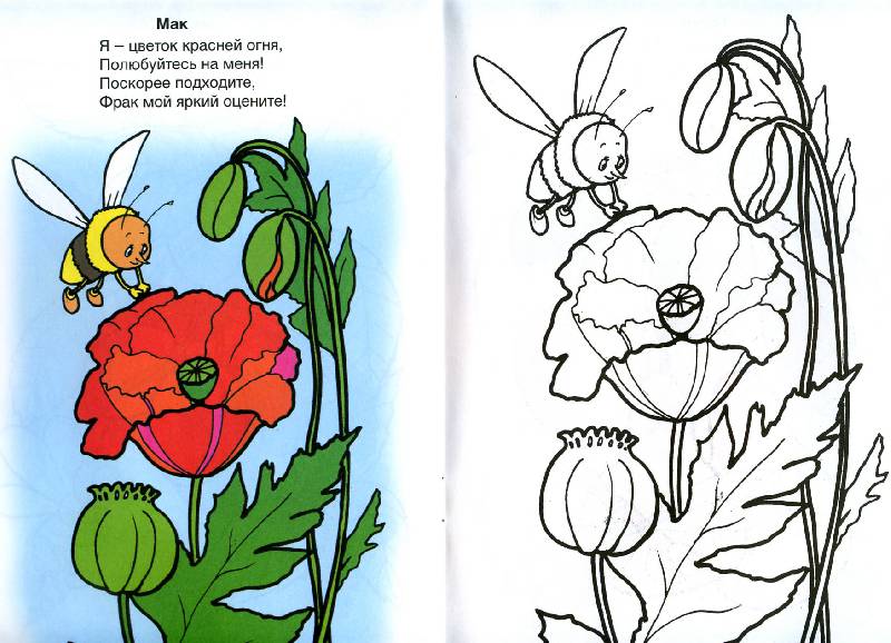 Иллюстрация 7 из 22 для Во саду ли, в огороде - Скребцова, Лопатина | Лабиринт - книги. Источник: Росинка