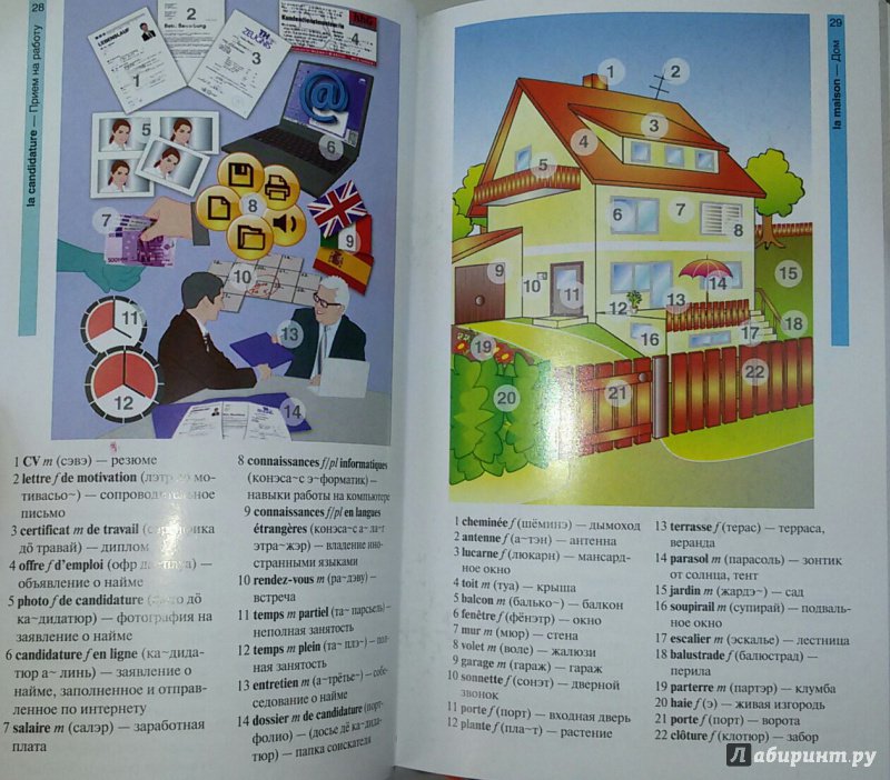 Французский язык в картинках 2012