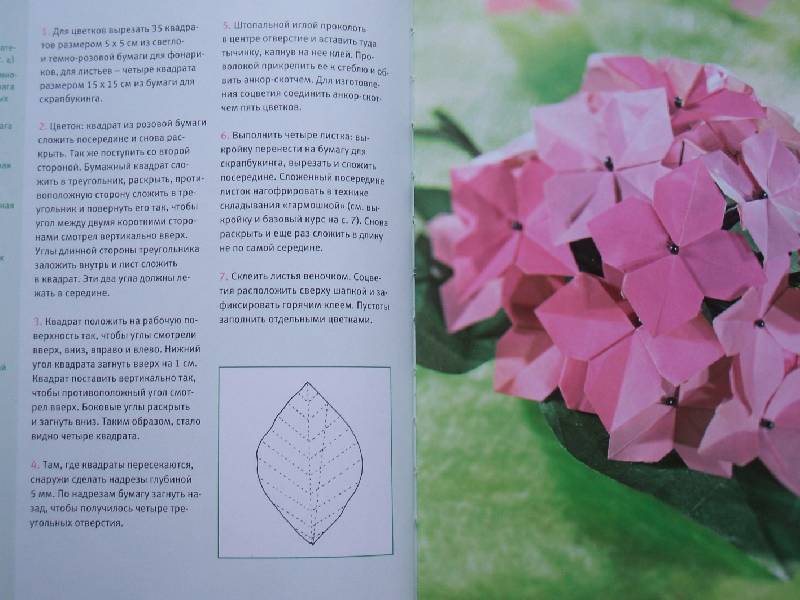 Иллюстрация 5 из 5 для Цветы из бумаги - Марен Штайн