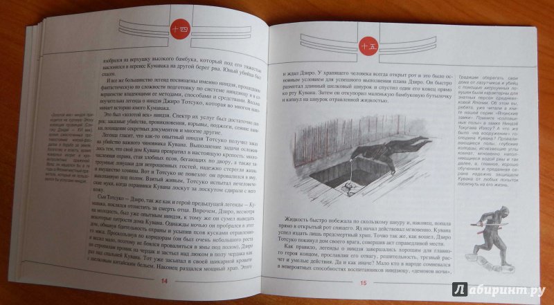 Иллюстрация 10 из 12 для Легенды ниндзя - Николай Рудаков | Лабиринт - книги. Источник: komer45