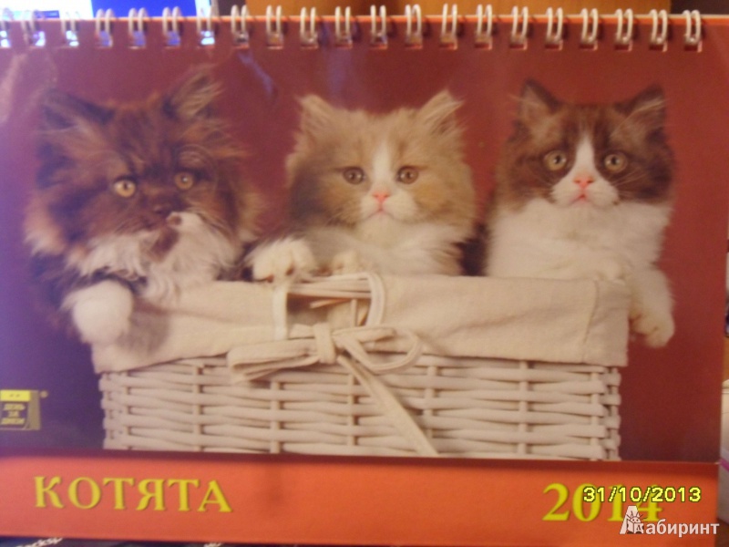 Иллюстрация 2 из 4 для Календарь на 2014 год "Котята" (19409) | Лабиринт - сувениры. Источник: Ankosik