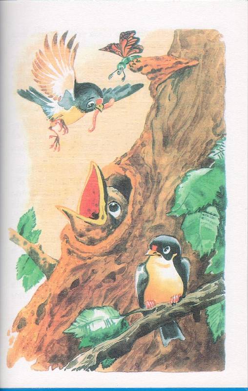 Иллюстрация 11 из 20 для Лесные домишки - Виталий Бианки | Лабиринт - книги. Источник: Стрекоза