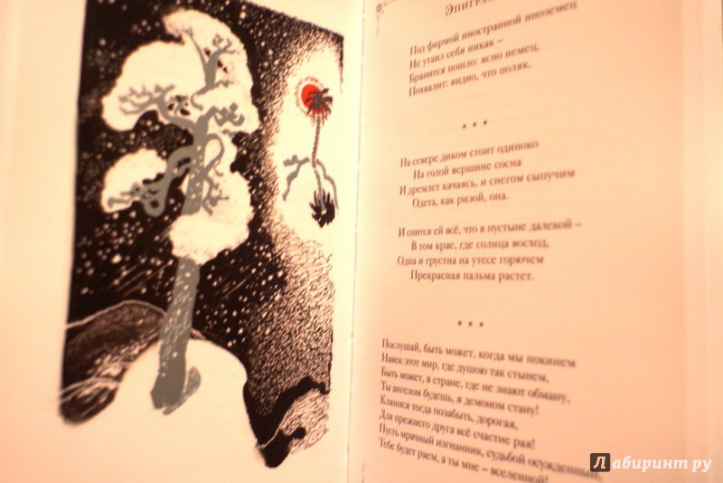 Иллюстрация 39 из 39 для Стихотворения - Михаил Лермонтов | Лабиринт - книги. Источник: Алонсо Кихано