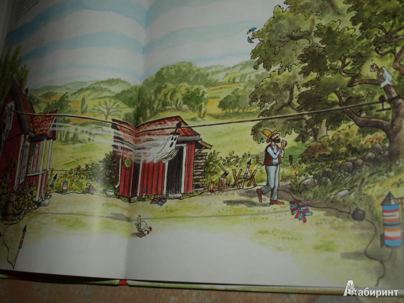Иллюстрация 10 из 53 для Охота на лис - Свен Нурдквист | Лабиринт - книги. Источник: Гусева  Анна Сергеевна