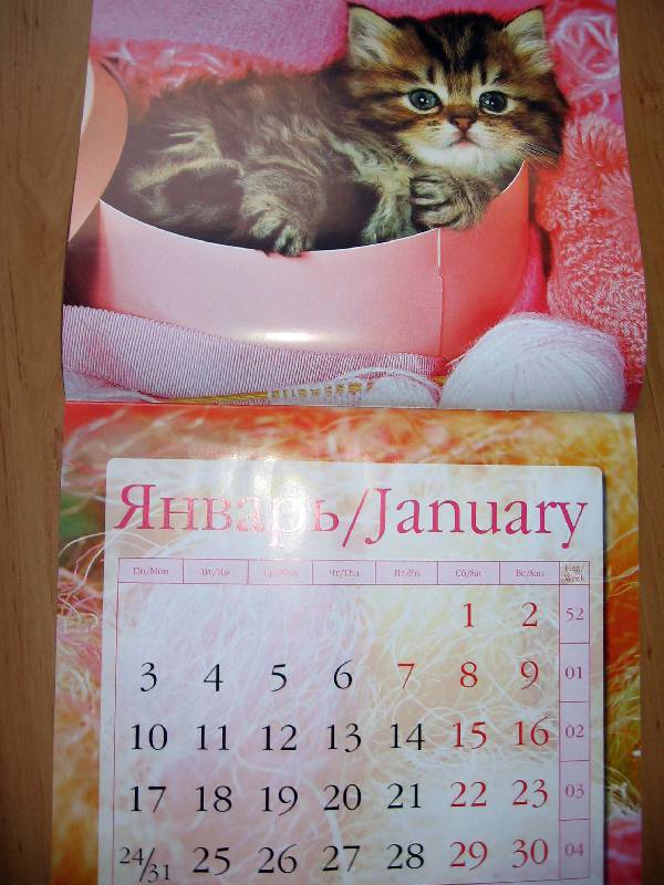Иллюстрация 4 из 9 для Календарь 2011 "Котята" | Лабиринт - сувениры. Источник: Red cat ;)