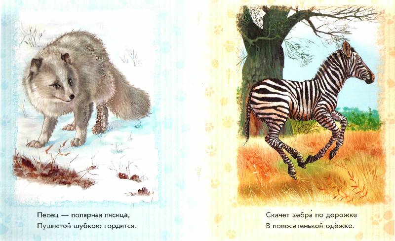 Иллюстрация 15 из 22 для На севере, на юге - Олеся Квитка | Лабиринт - книги. Источник: Апельсинка