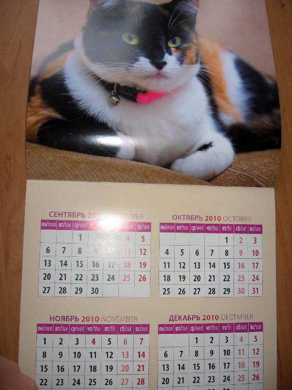 Иллюстрация 3 из 13 для Календарь настенный 2011 год. "Кошки" (71021) | Лабиринт - сувениры. Источник: Red cat ;)