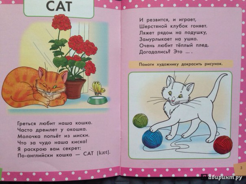 Загадки про котенка для 1 класса