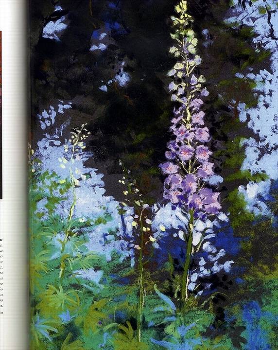 Иллюстрация 6 из 6 для Рисуем цветы пастелью - Маргарет Эванс | Лабиринт - книги. Источник: * Ольга *