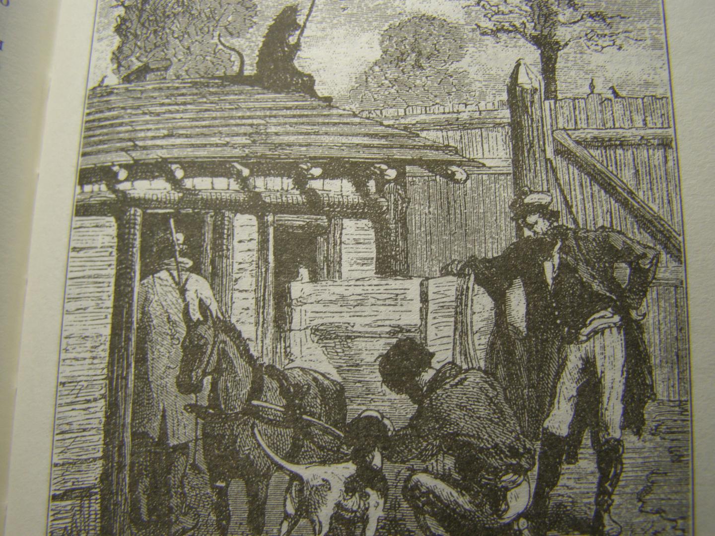 Иллюстрация 58 из 81 для Таинственный остров - Жюль Верн | Лабиринт - книги. Источник: Лабиринт
