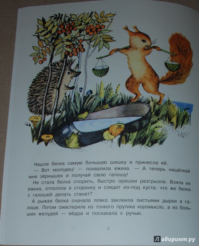 Иллюстрация 28 из 50 для Галоша - Михаил Пляцковский | Лабиринт - книги. Источник: Книжный кот