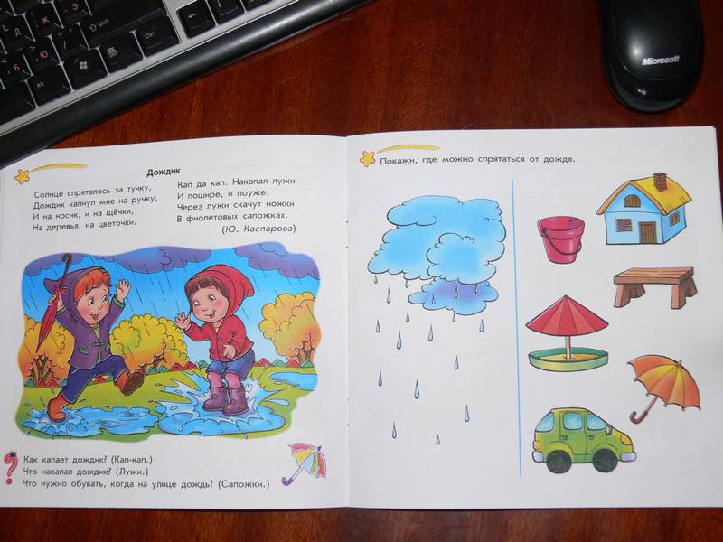 Иллюстрация 16 из 22 для Погода и времена года: Развивающая тетрадь для занятий с ребенком от 2 лет - Елена Дорохова | Лабиринт - книги. Источник: Irbis