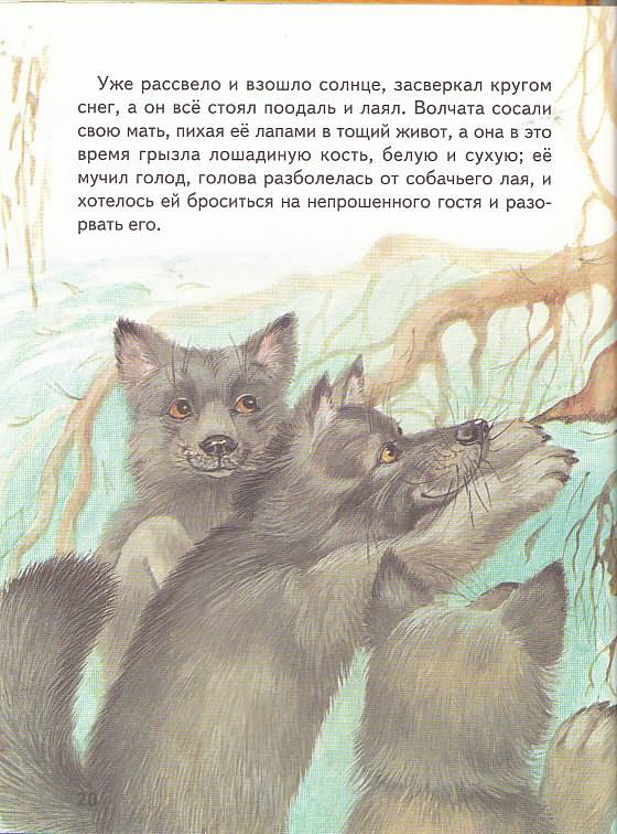 Иллюстрация 16 из 36 для Большая волчья книга: Сказки | Лабиринт - книги. Источник: Вафля