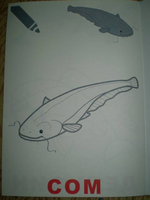 Иллюстрация 7 из 9 для Маленький художник. Выпуск 10. Водный мир | Лабиринт - книги. Источник: С  М В