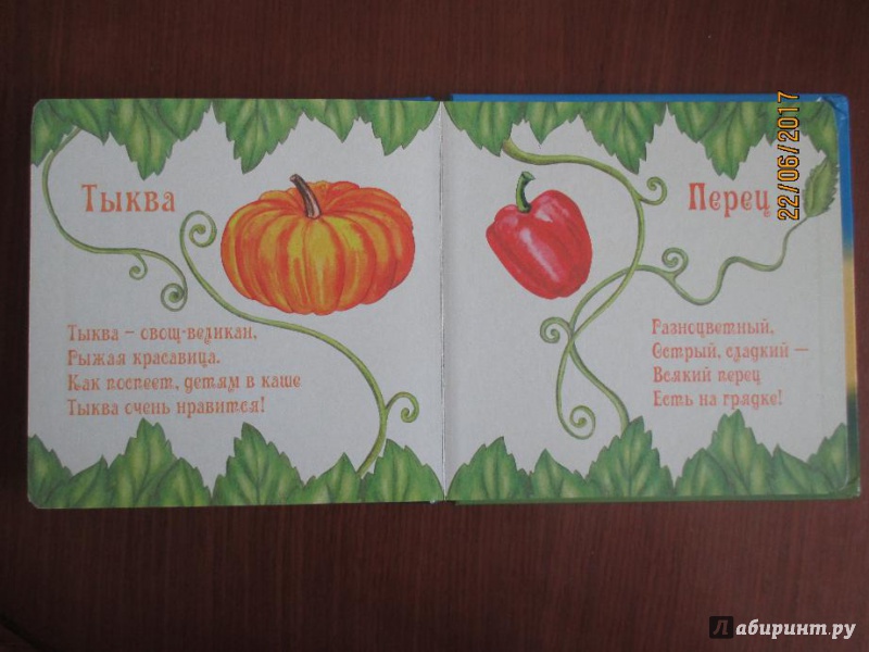 Иллюстрация 6 из 6 для Овощи - Наталья Курлат | Лабиринт - книги. Источник: Марина Епифанцева