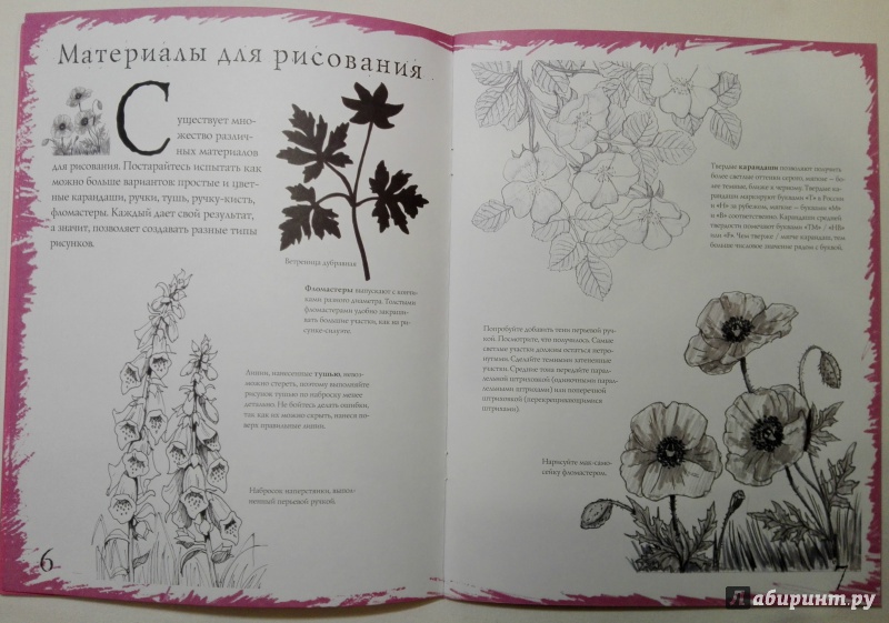 Иллюстрация 3 из 21 для Как рисовать. Цветы - Марк Берджин | Лабиринт - книги. Источник: Assolata