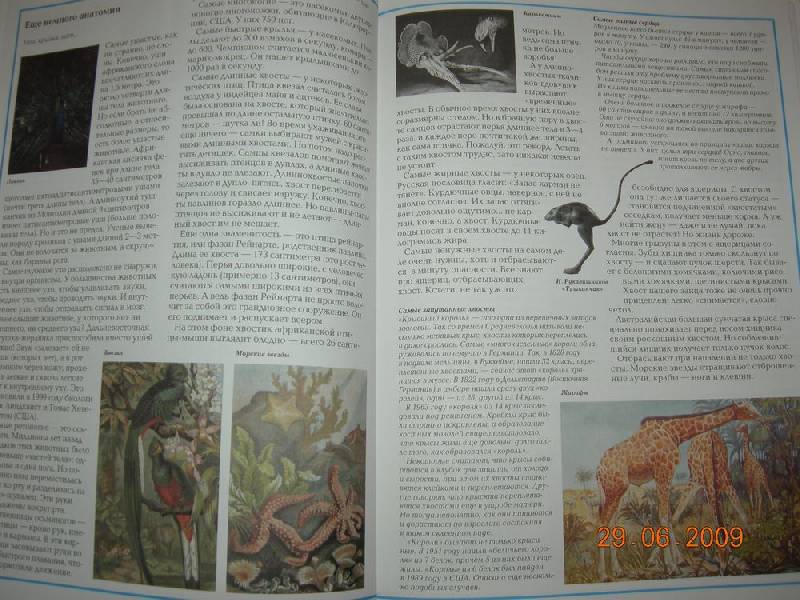 Иллюстрация 10 из 50 для Самые-самые в мире животных - Светлана Лаврова | Лабиринт - книги. Источник: Соловей