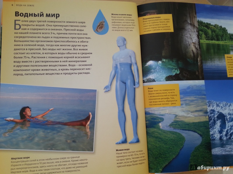Иллюстрация 3 из 22 для Вода на Земле | Лабиринт - книги. Источник: Цветкова  Светлана
