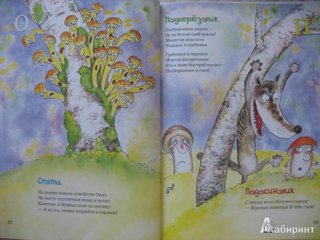 Иллюстрация 45 из 54 для Большая грибная книга - Андрей Усачев | Лабиринт - книги. Источник: kolobus