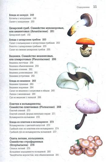 Иллюстрация 21 из 24 для Самые вкусные грибы - Матанцев, Матанцева | Лабиринт - книги. Источник: Золотая рыбка