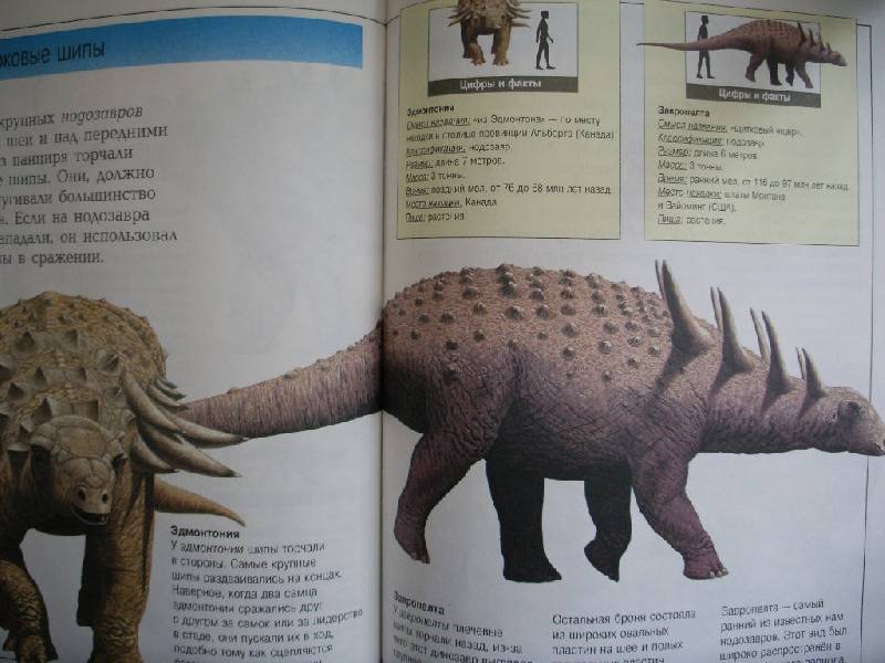 Иллюстрация 11 из 12 для Самые удивительные динозавры (серая) - Дугал Диксон | Лабиринт - книги. Источник: Tiger.