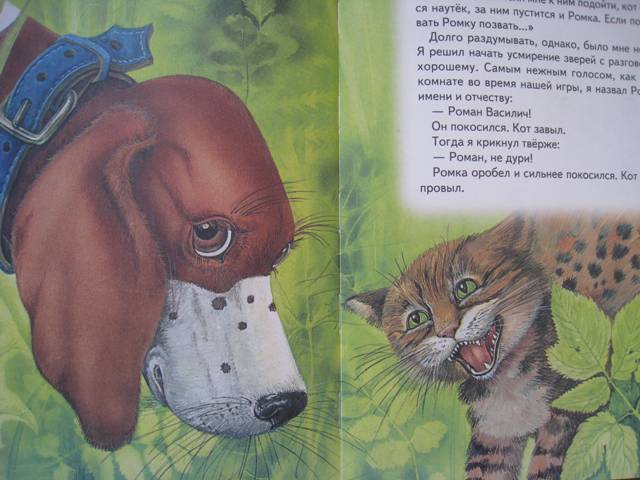 Иллюстрация 37 из 39 для Сказки из леса | Лабиринт - книги. Источник: kurya