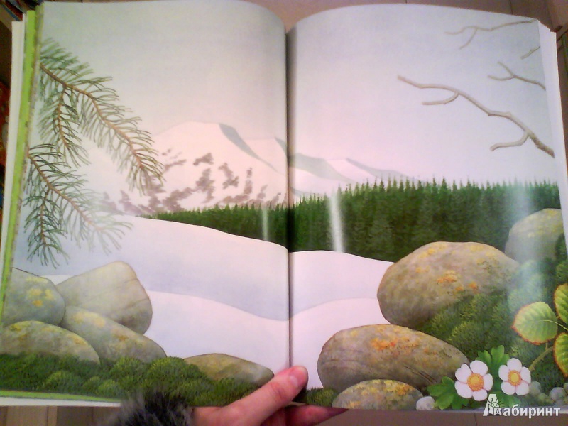 Иллюстрация 8 из 32 для Чудо-наклейки. Мир природы | Лабиринт - книги. Источник: Мила