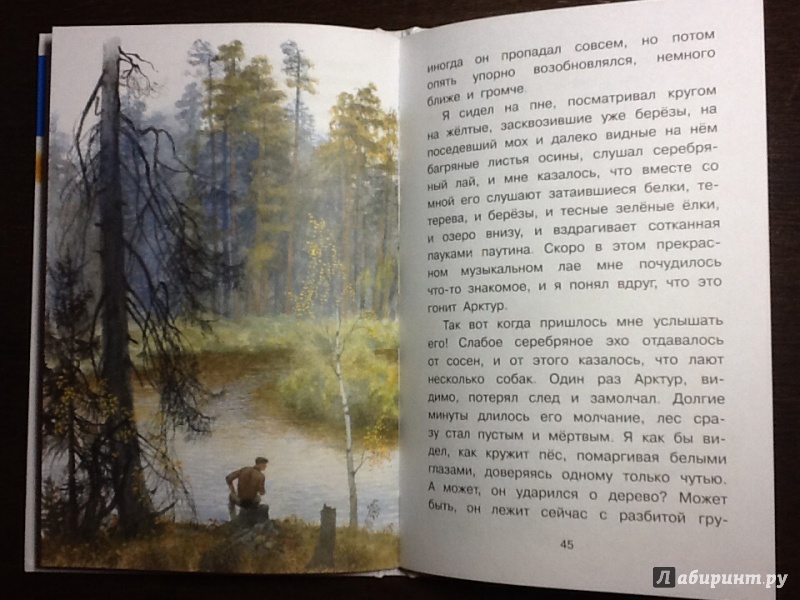 Иллюстрация 25 из 32 для Арктур - гончий пёс - Юрий Казаков | Лабиринт - книги. Источник: Оноприенко  Олег Валерьевич