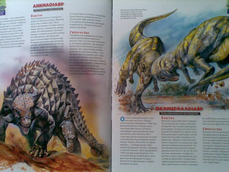 Иллюстрация 17 из 23 для Тираннозавр & Ко - М. Банфи | Лабиринт - книги. Источник: Мельникова  Светлана Сергеевна