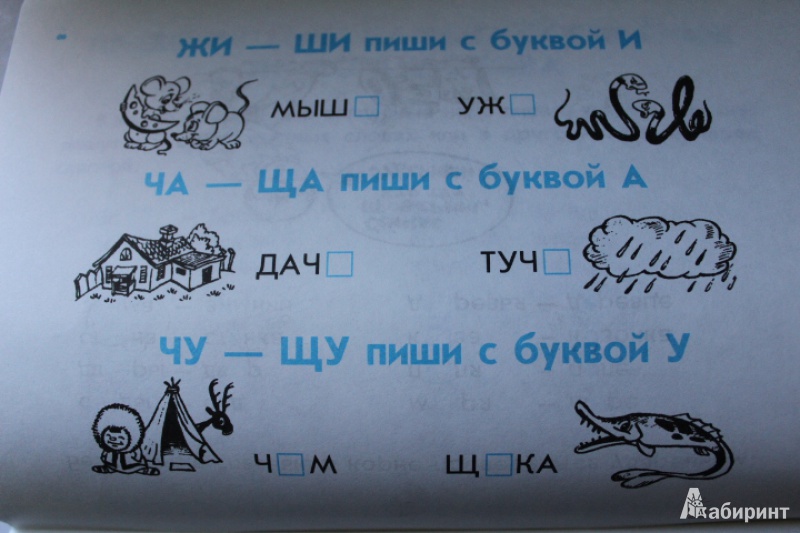 Иллюстрация 5 из 36 для Правила по русскому языку для начальных классов | Лабиринт - книги. Источник: ТАНЮШКА ГОЛОВИНА