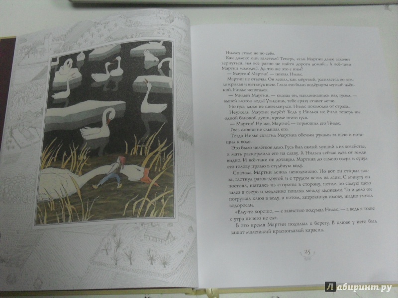 Иллюстрация 6 из 29 для Чудесное путешествие Нильса с дикими гусями - Сельма Лагерлеф | Лабиринт - книги. Источник: dbyyb