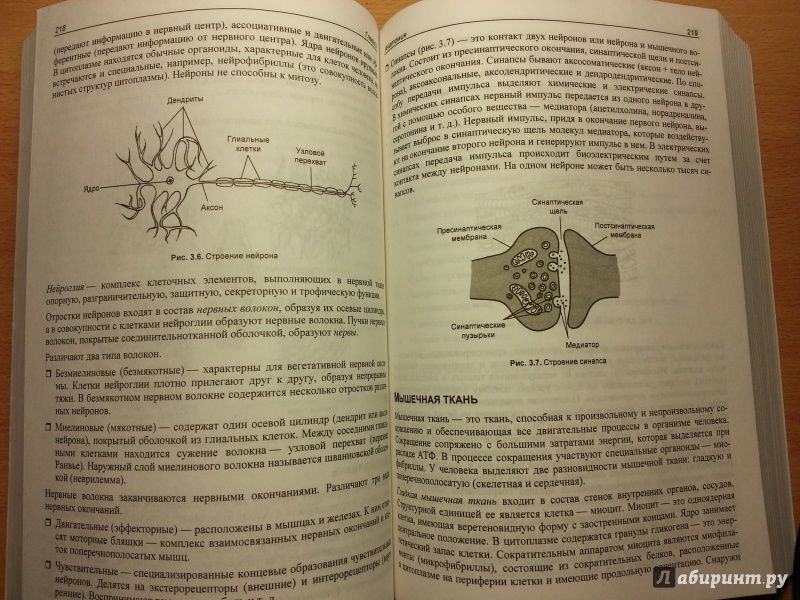 Иллюстрация 16 из 32 для ЕГЭ по биологии. Практическая подготовка - Дмитрий Соловков | Лабиринт - книги. Источник: Den