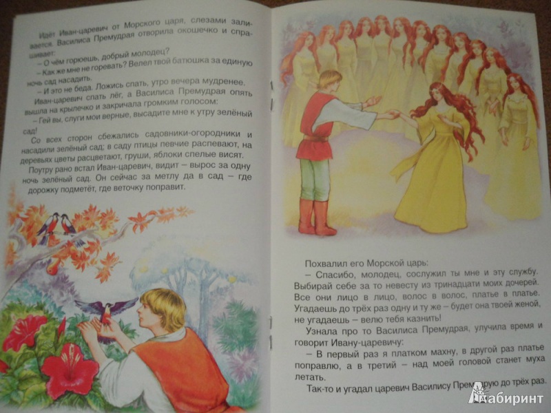 Иллюстрация 3 из 16 для Василиса Премудрая | Лабиринт - книги. Источник: юлия д.