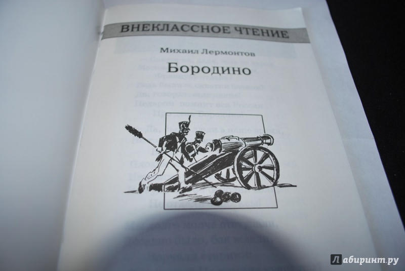 Иллюстрация 5 из 13 для Бородино - Михаил Лермонтов | Лабиринт - книги. Источник: Журавлёва  Анна