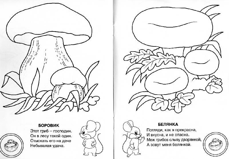 Иллюстрация 2 из 14 для Знаешь ли ты грибы-грибочки? - Елена Михайленко | Лабиринт - книги. Источник: Росинка