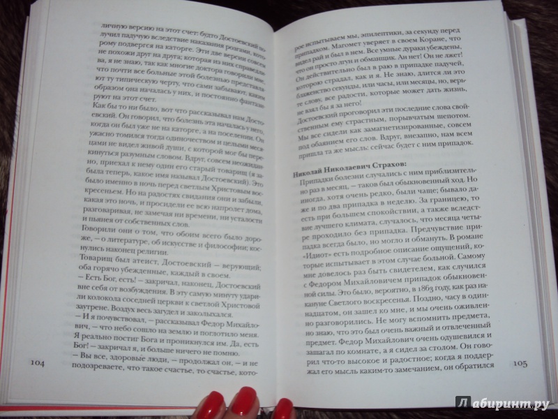 Иллюстрация 14 из 23 для Достоевский без глянца - Павел Фокин | Лабиринт - книги. Источник: MarinaKarpiza