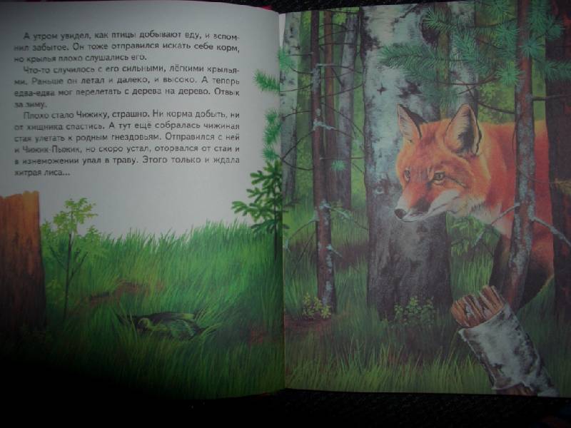 Иллюстрация 16 из 22 для Русские сказки о природе: Чижик-Пыжик - Евгений Пермяк | Лабиринт - книги. Источник: sher