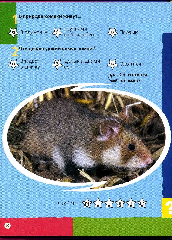 Иллюстрация 3 из 19 для Что ты знаешь о животных? 200 вопросов и ответов | Лабиринт - книги. Источник: РИВА