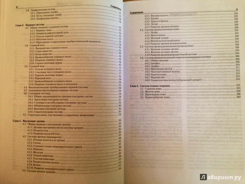 Иллюстрация 5 из 16 для Анатомия человека. Учебник для студентов вузов (+CD) - Курепина, Ожигова, Никитина | Лабиринт - книги. Источник: bulawa